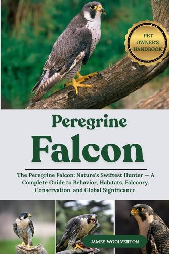 Pelegrine Falcon