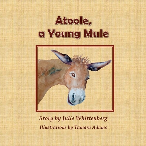 Atoole, a Young Mule