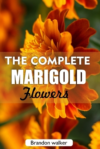 The complete Marigold flowers