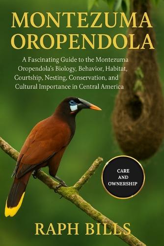 Montezuma Oropendola