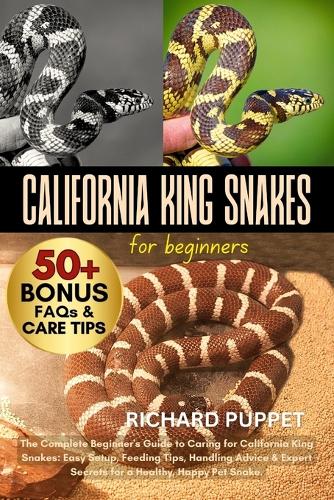 California King Snakes for Beginners