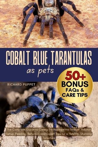 Cobalt Blue Tarantulas as Pets