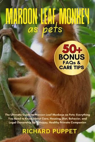 Maroon Leaf Monkey as Pets
