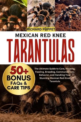 Mexican Red Knee Tarantulas