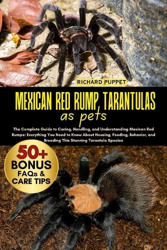 Mexican Red Rump Tarantulas as Pets