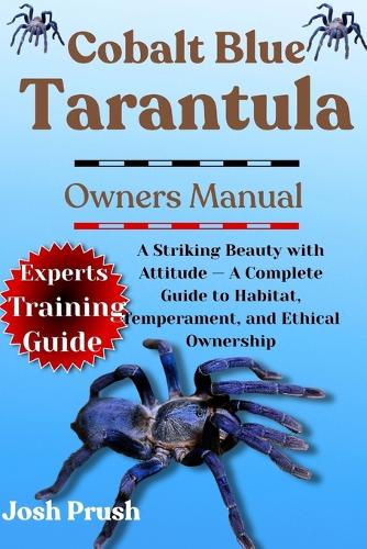 Cobalt Blue Tarantula