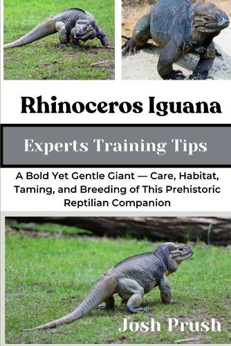 Rhinoceros Iguana