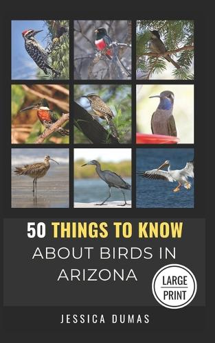 50 Things to Know About Birds in Arizona Large Print