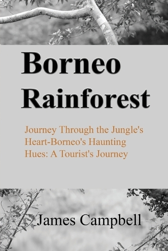 Borneo Rainforest