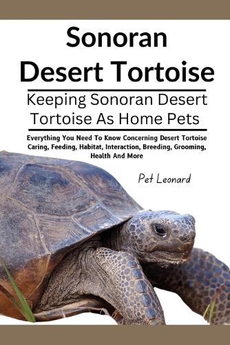 Sonoran Desert Tortoise