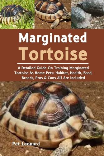 Marginated Tortoise