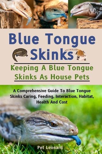 Blue Tongue Skinks