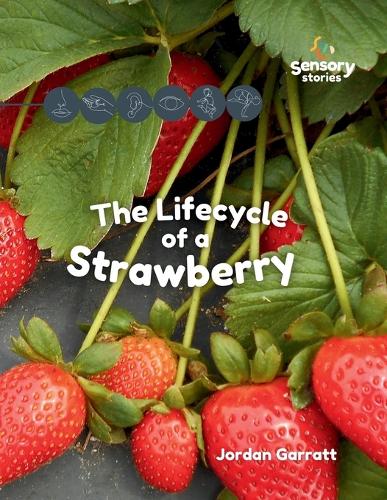 The Lifecycle of a Strawberry