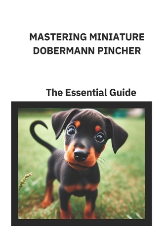 Mastering Miniature Dobermann Pincher