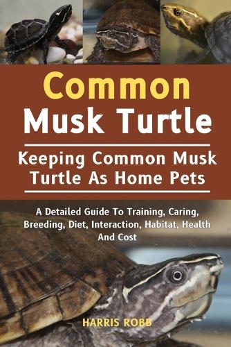 Common Musk Turtle