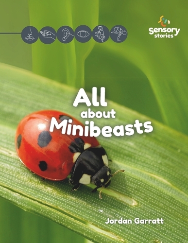 All about Minibeasts