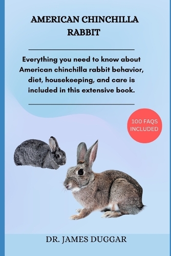 American Chinchilla Rabbit