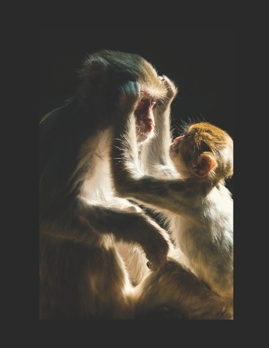 Me and My Monkey