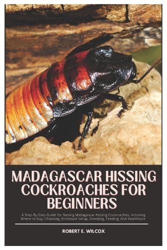 Madagascar Hissing Cockroaches for Beginners