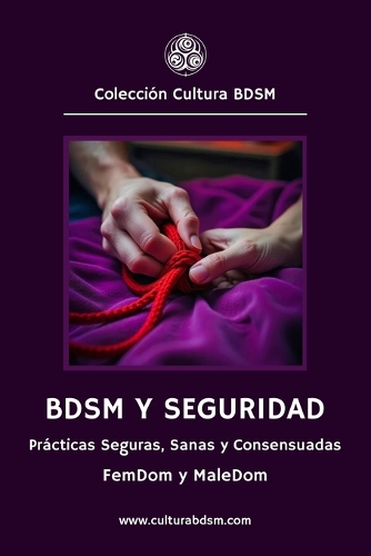 BDSM y Seguridad