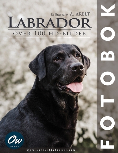 Labrador