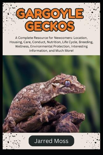 Gargoyle Geckos
