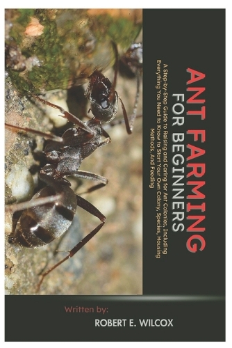 Ant Farming for Beginners