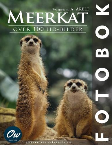 Meerkat