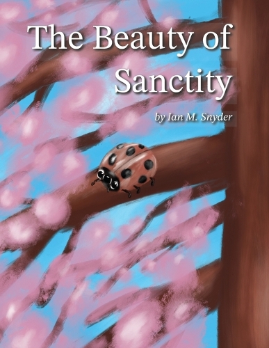 The Beauty of Sanctity