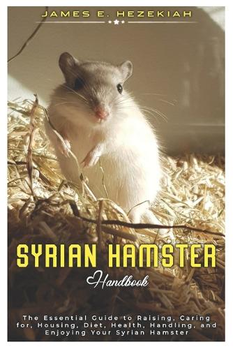 Syrian Hamster