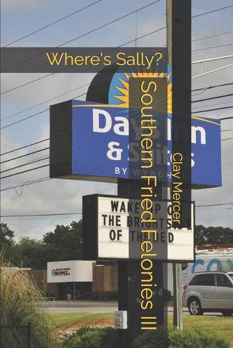 Southern Fried Felonies III