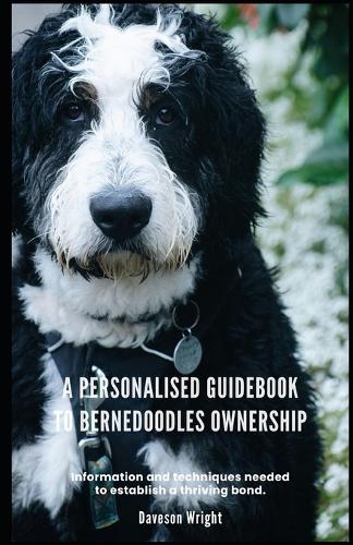 A Personalised Guidebook to Bernedoodles Ownership