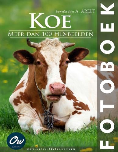 Koe