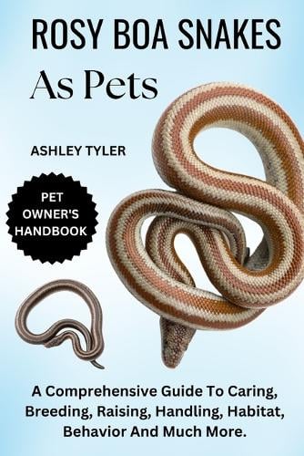 Rosy Boa Snakes as Pets