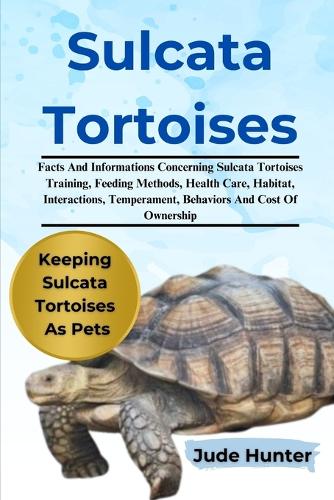 Sulcata Tortoise