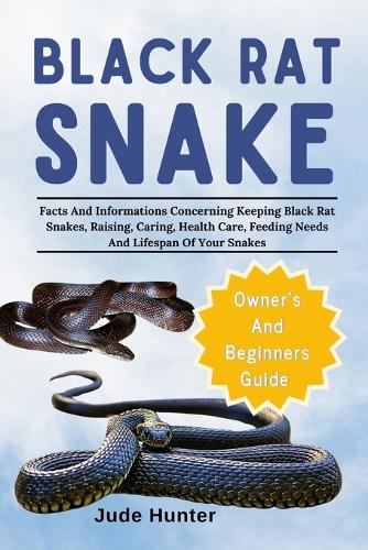 Black Rat Snake