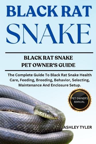 Black Rat Snake