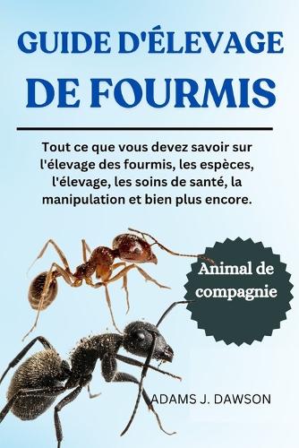 Guide d'Élevage de Fourmis