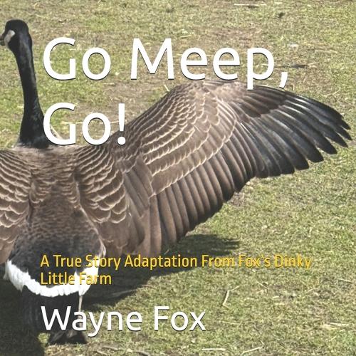 Go Meep, Go!