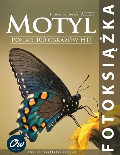 Motyl