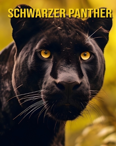 Schwarzer Panther