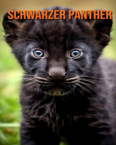 Schwarzer Panther