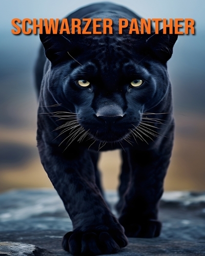 Schwarzer Panther