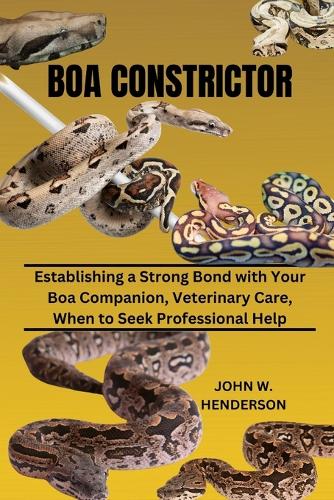 Boa Constrictor