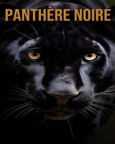Panthère Noire