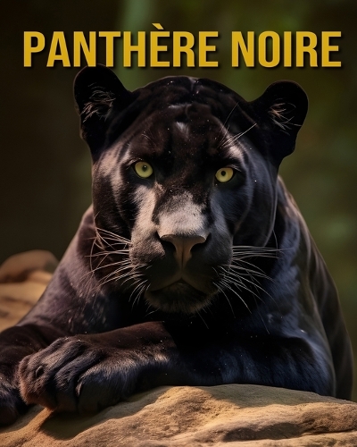 Panthère Noire