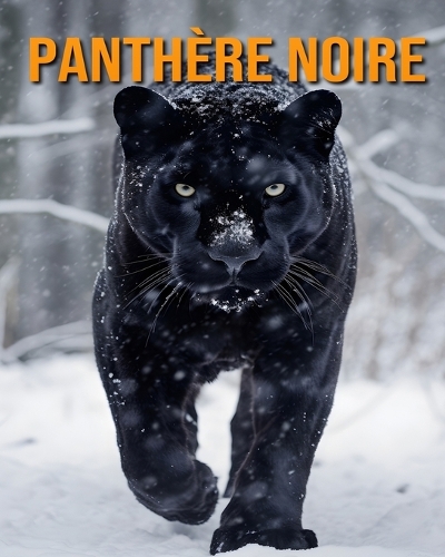 Panthère Noire