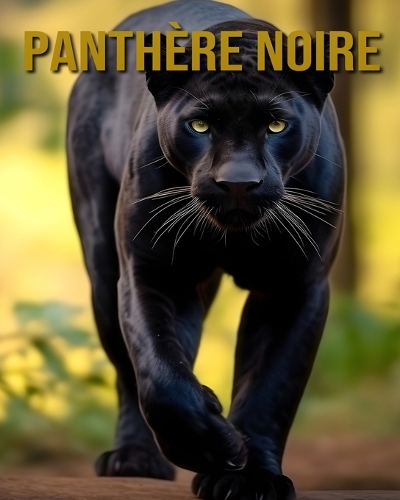 Panthère Noire