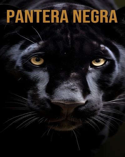 Pantera negra