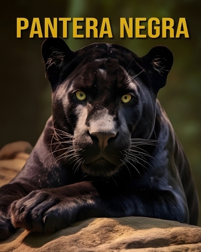 Pantera negra